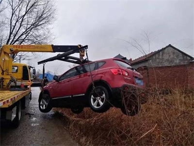 卢龙楚雄道路救援